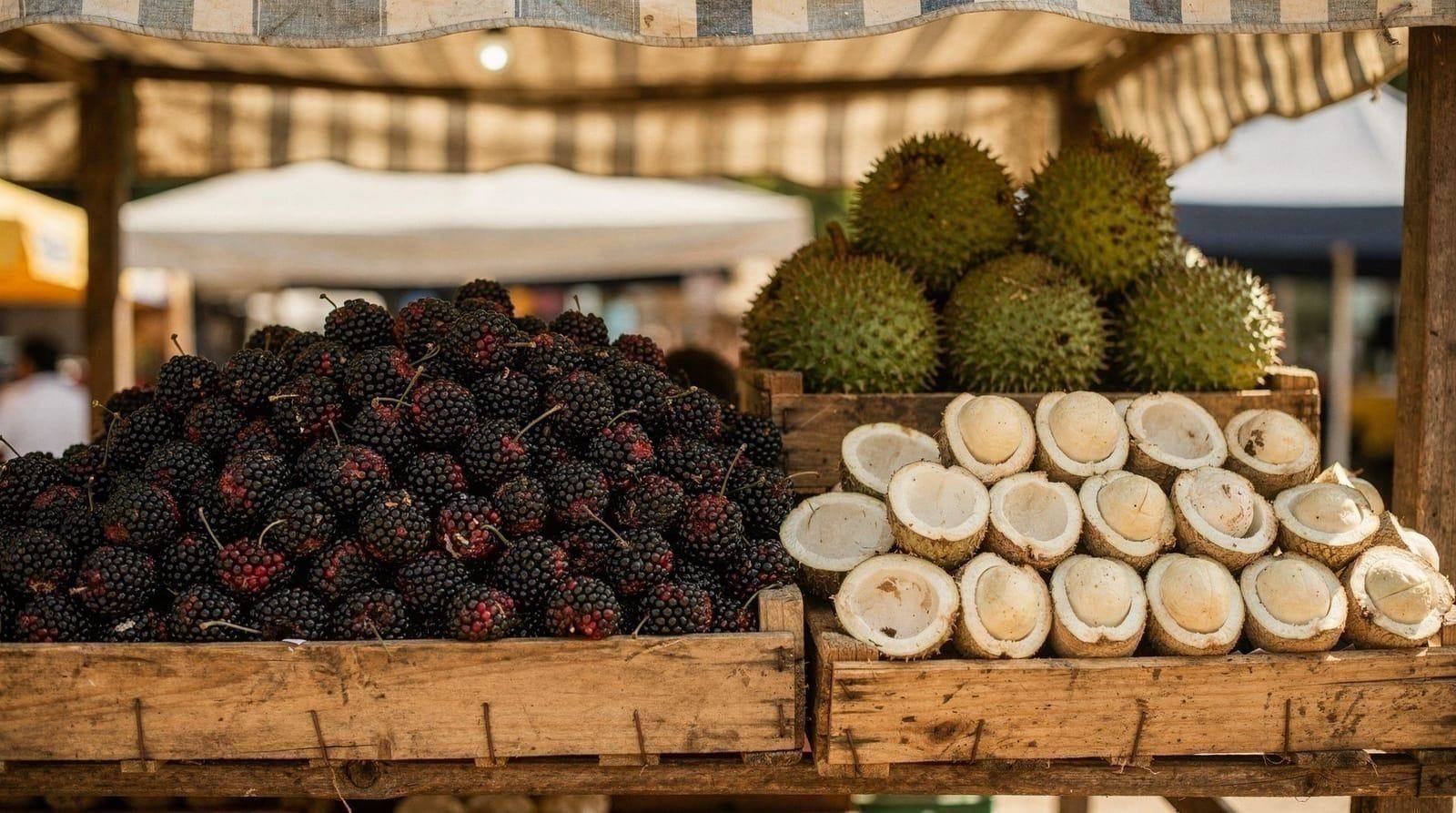 Les fruits brésiliens à goûter absolument