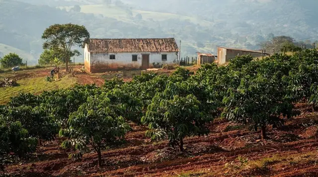 Coffee farm tours near São Paulo
