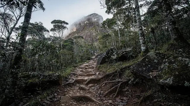 Hiking near São Paulo