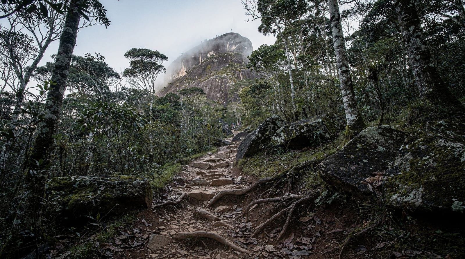 Randonnée près de São Paulo