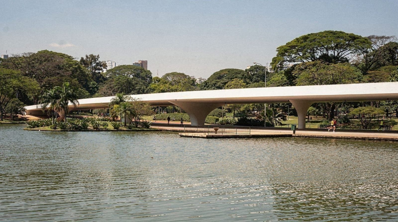 Le Parc Ibirapuera : un guide complet