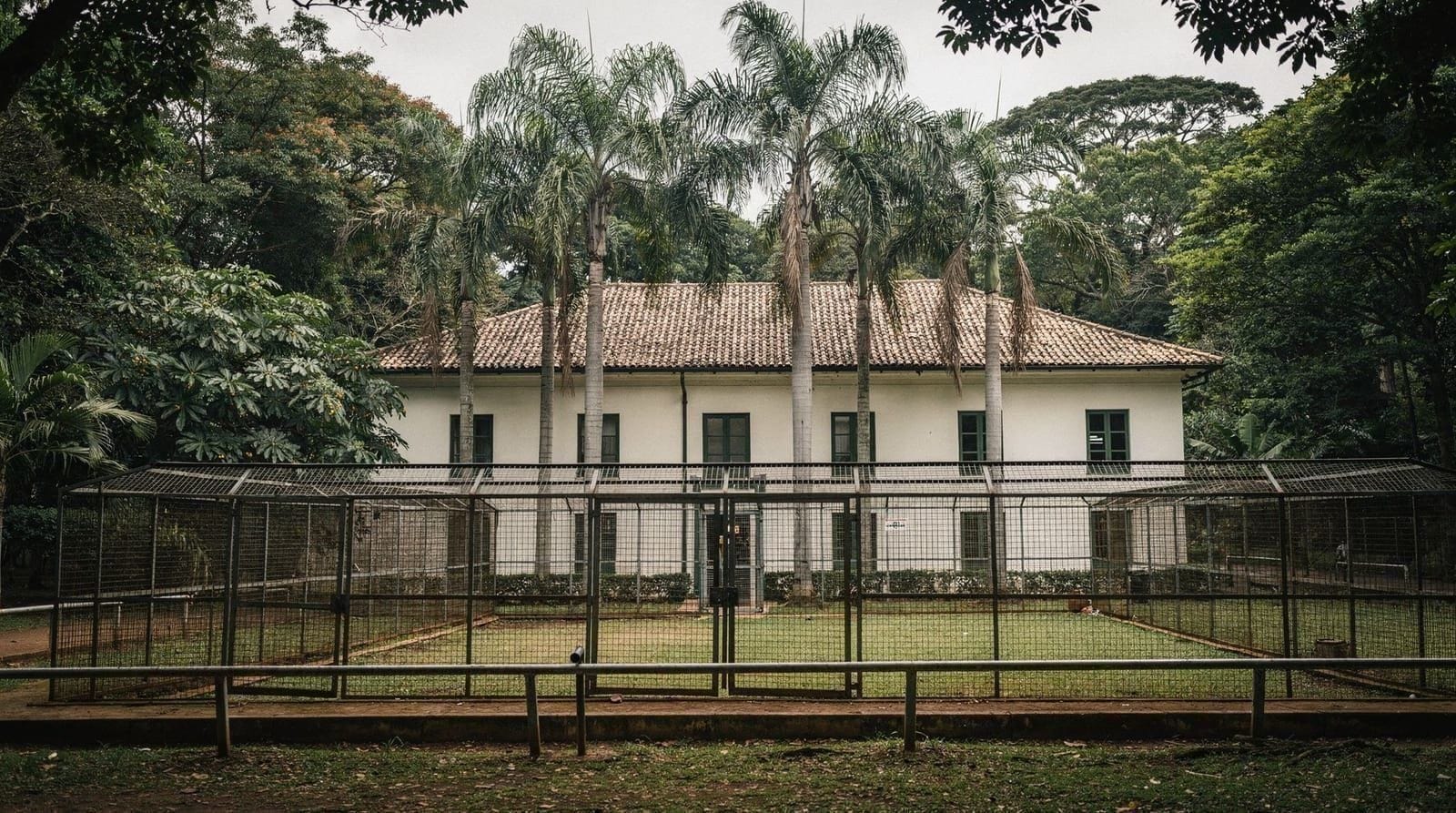 Institut Butantan