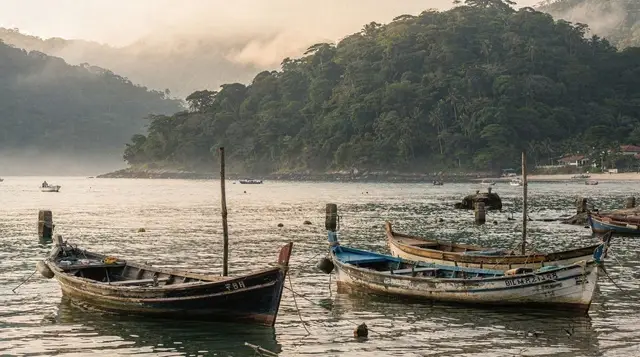 Island trips from São Paulo