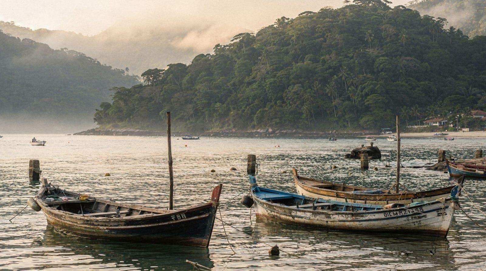 Excursions aux îles depuis São Paulo
