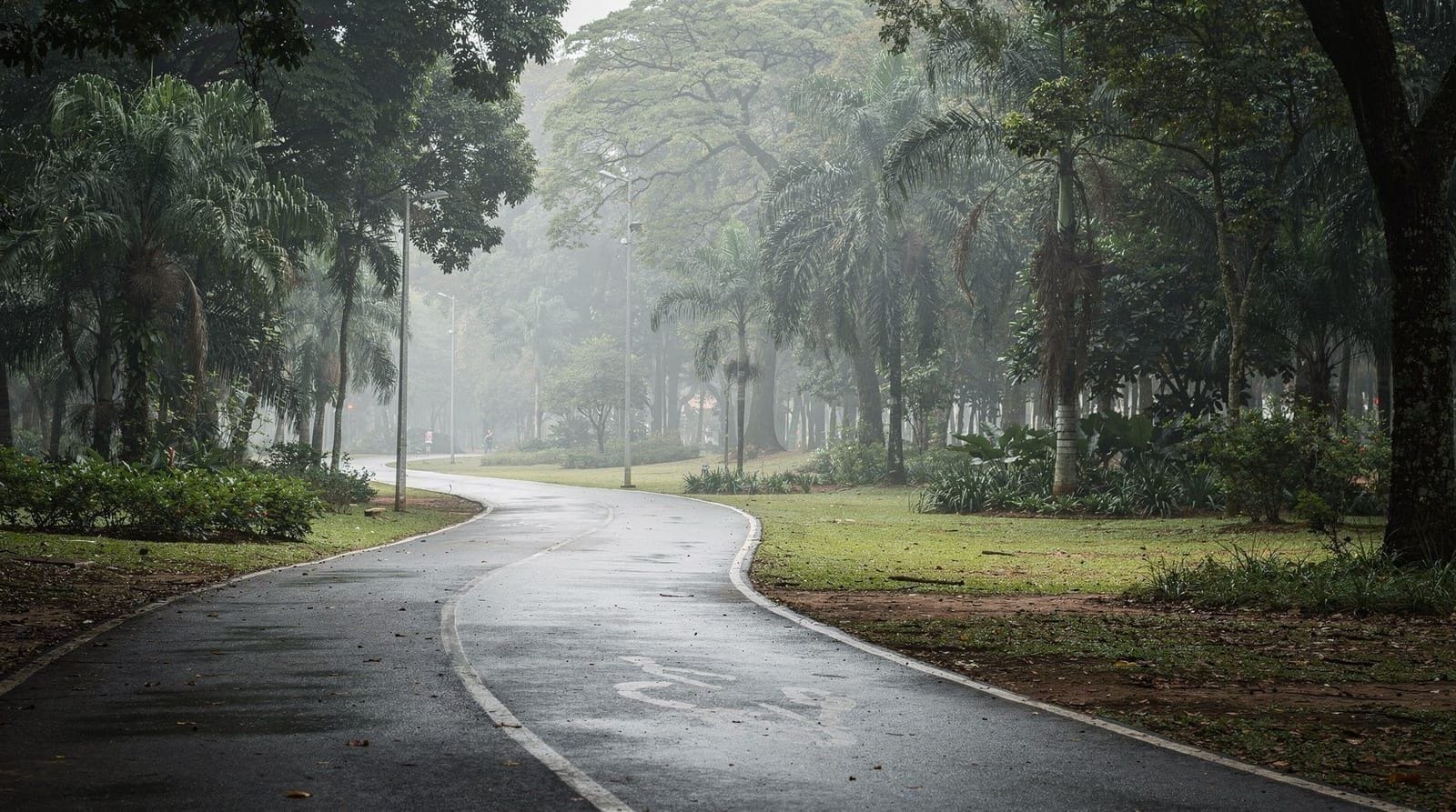 Courir et faire du vélo à São Paulo