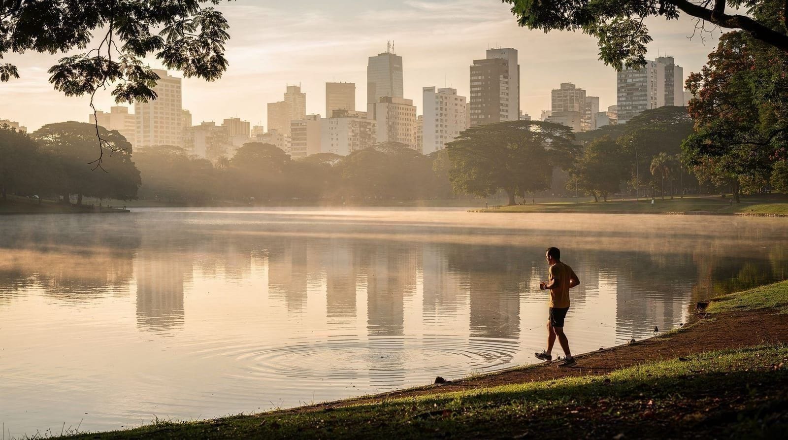 São Paulo en un jour