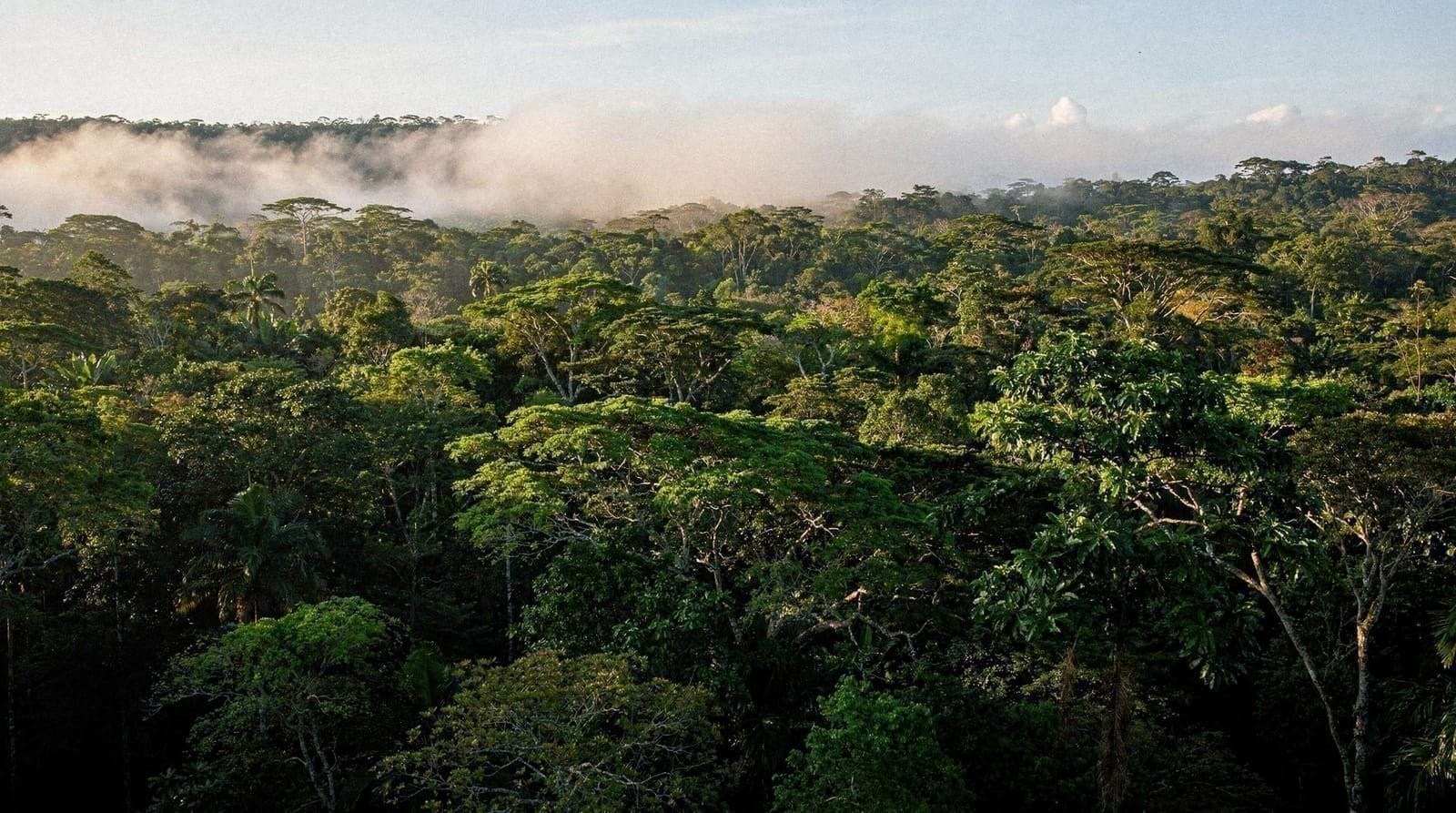 La zone nord de São Paulo